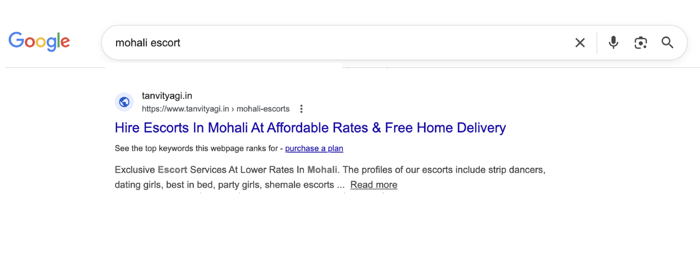 Get Hire Mohali Escort Service